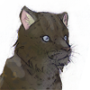 Only released for the Amur leopard charity drive.
